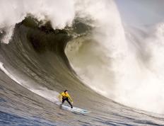 德约科维奇爆冷击败利物浦，败北引爆全场！