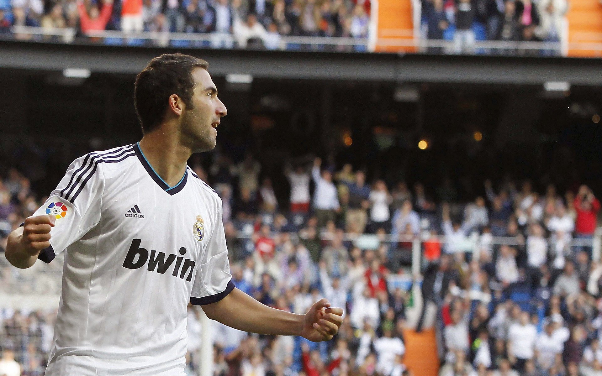 足球赛场焦点！比利时队对阵克罗地亚队，超级对决，球迷热情点燃赛场