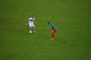 C罗赛事官方发布败北新规，拜仁争议不断！